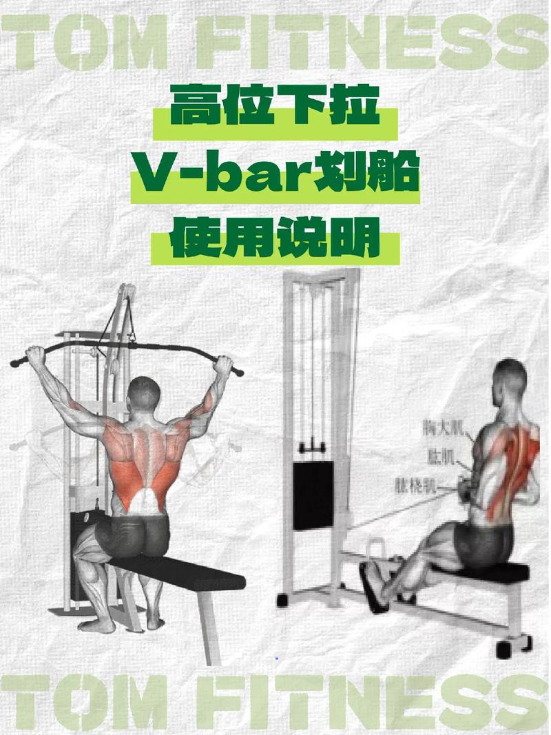 健身教练指导下的身体攻击部位如何训练?60话全面解析下拉式训练法