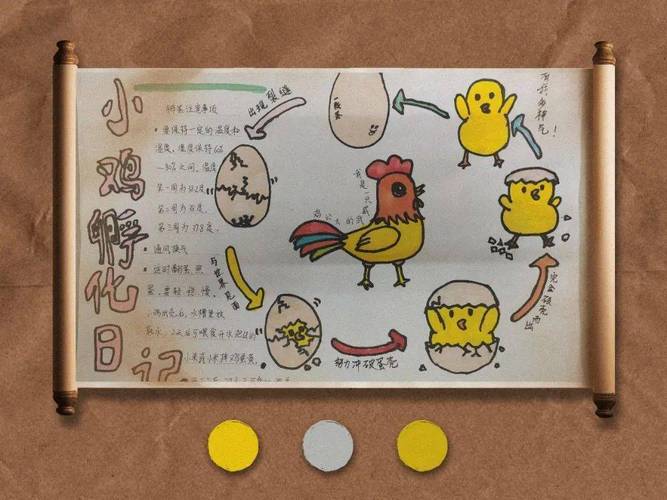 《如何实现轻松吃到自己的小鸡:简单指南》