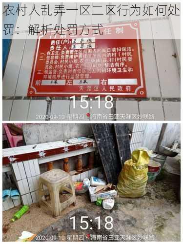 农村人乱弄一区二区行为如何处罚:解析处罚方式