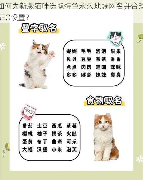 如何为新版猫咪选取特色永久地域网名并合理SEO设置?