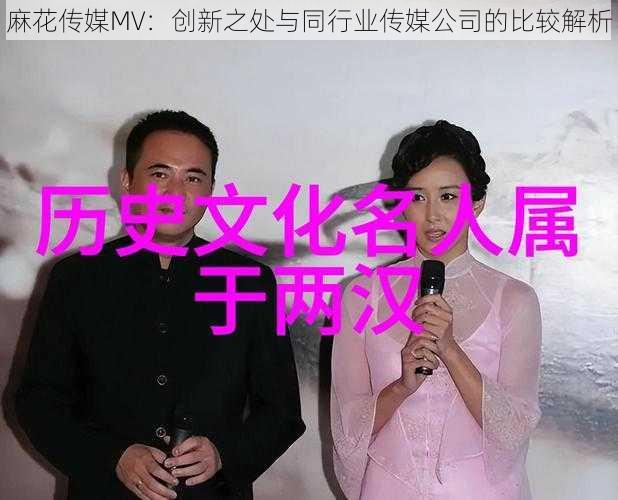 麻花传媒MV:创新之处与同行业传媒公司的比较解析