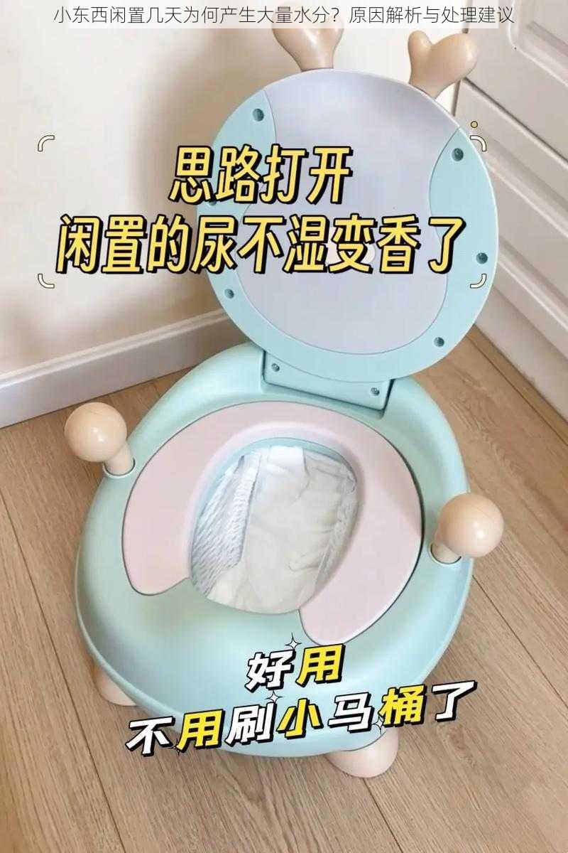 小东西闲置几天为何产生大量水分?原因解析与处理建议