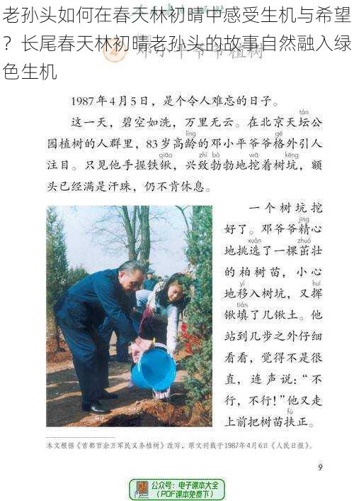 老孙头如何在春天林初晴中感受生机与希望?长尾春天林初晴老孙头的故事自然融入绿色生机