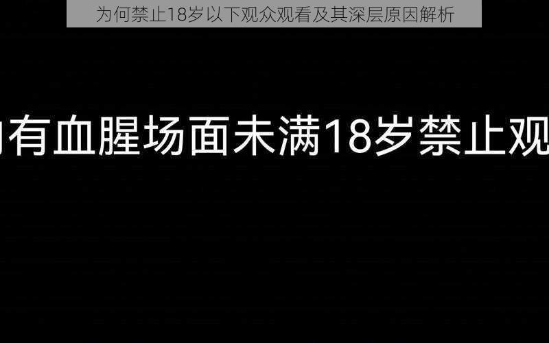 为何禁止18岁以下观众观看及其深层原因解析