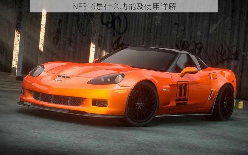 NFS16是什么功能及使用详解