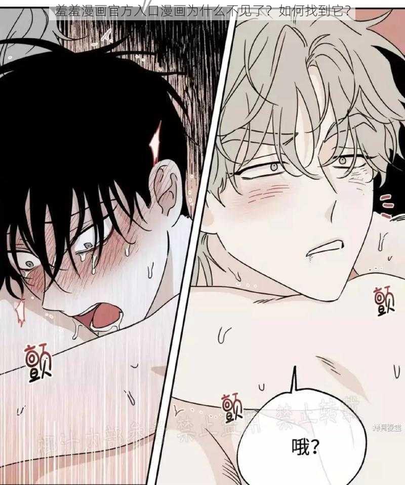 羞羞漫画官方入口漫画为什么不见了?如何找到它?