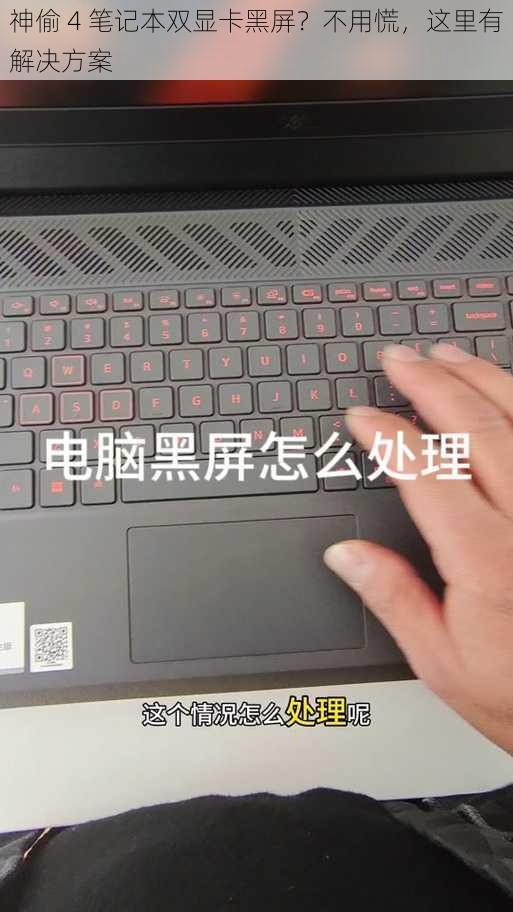 神偷 4 笔记本双显卡黑屏?不用慌,这里有解决方案