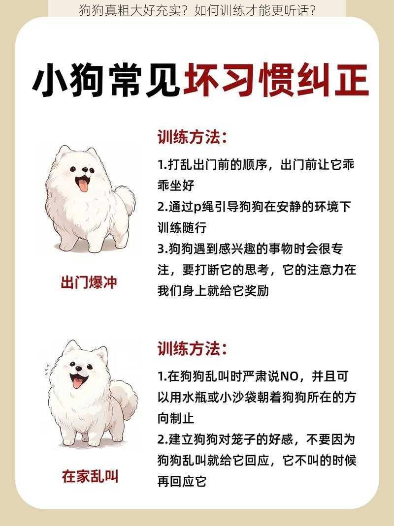 狗狗真粗大好充实?如何训练才能更听话?